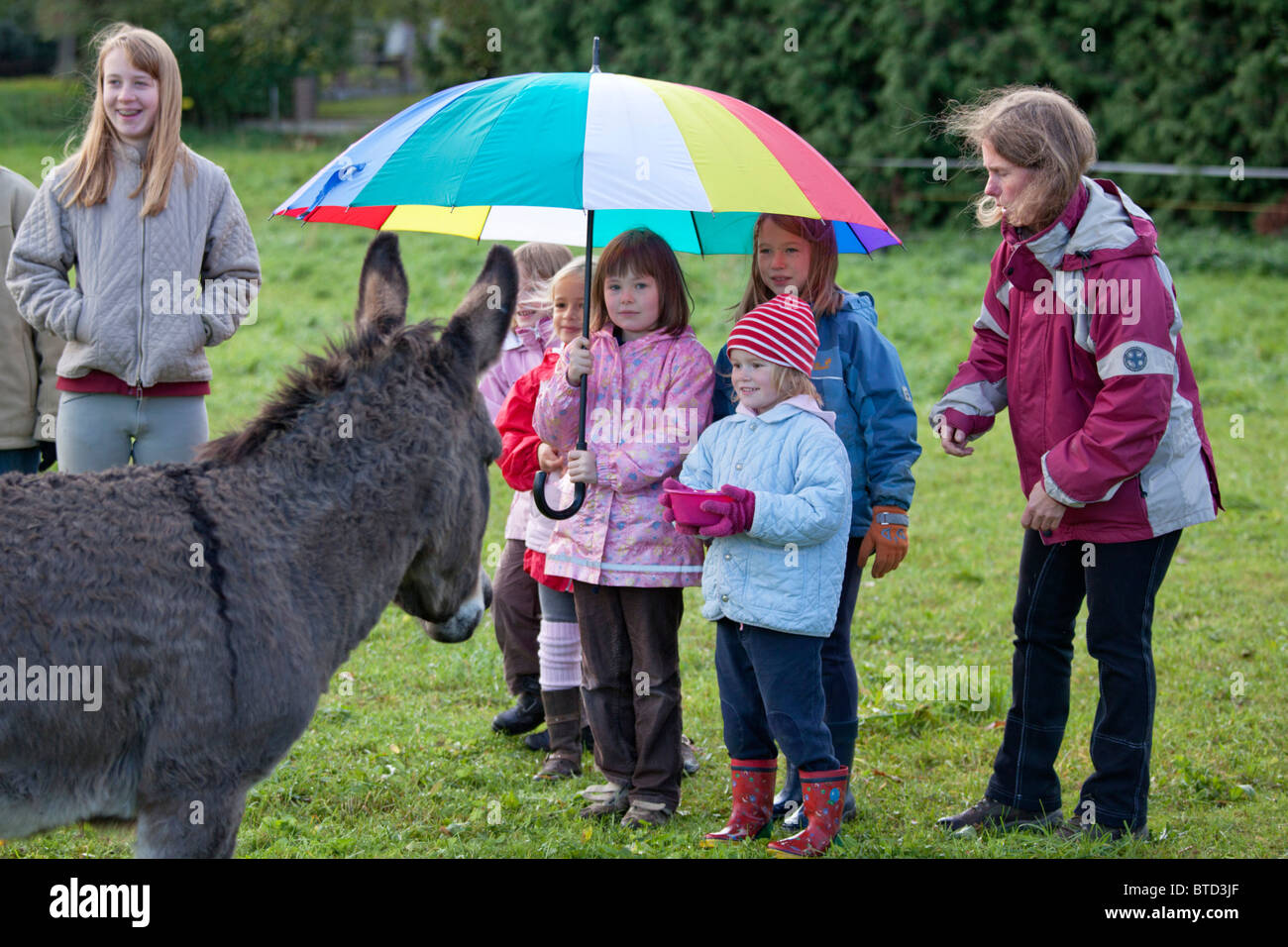 small girls under a big colourful umbrella attracting a donkey Stock Photo