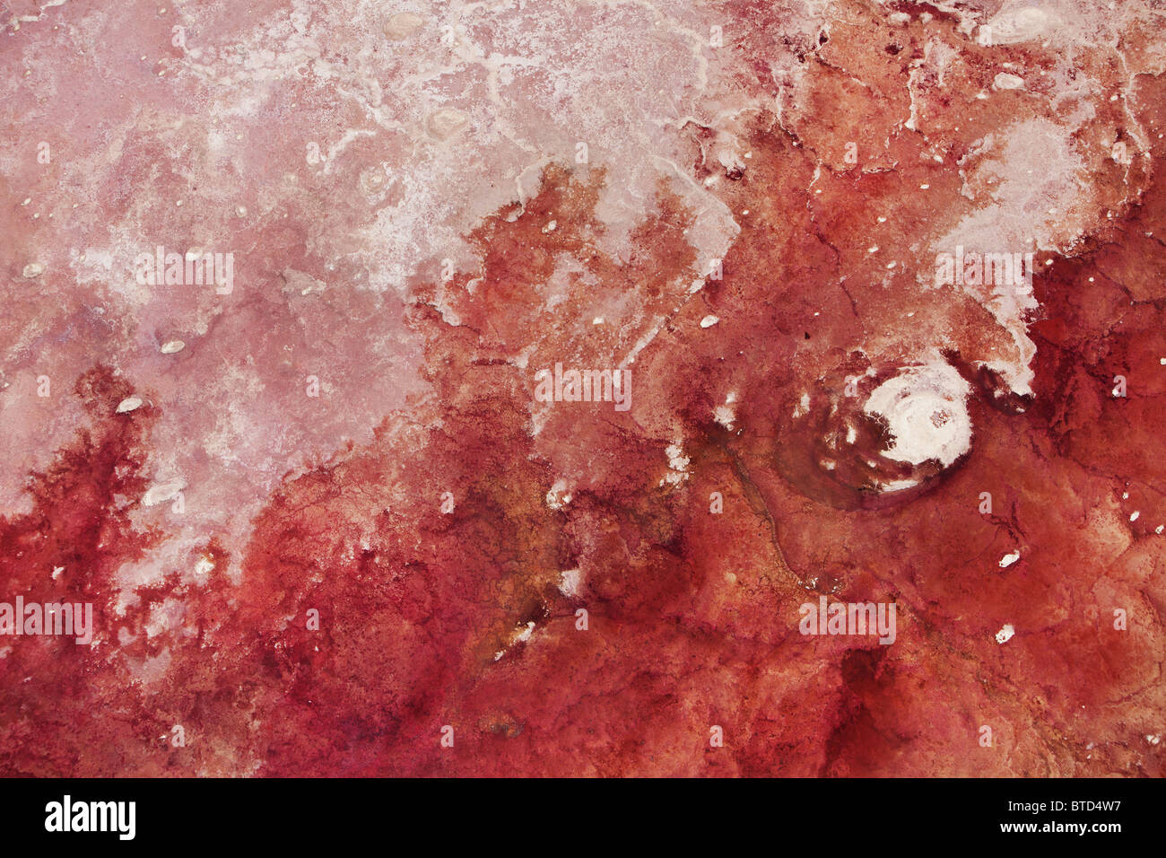 Aerial view of Lake Magadi. Salt flats are sometimes red due to the proliferation of halobacteria. Rift Valley Kenya Stock Photo