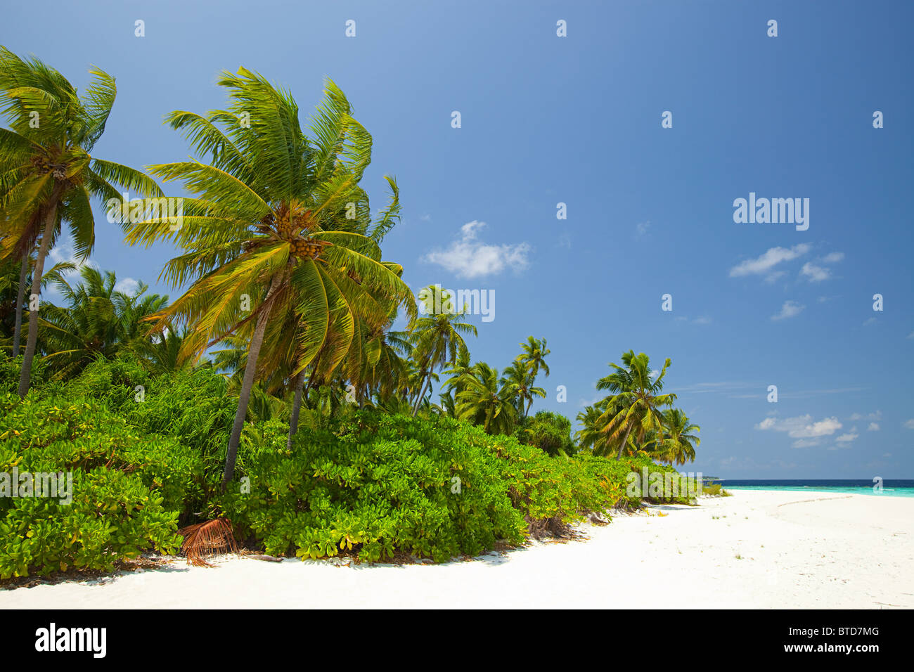 Baughagello Island, South Huvadu Atoll, Maldives Stock Photo - Alamy
