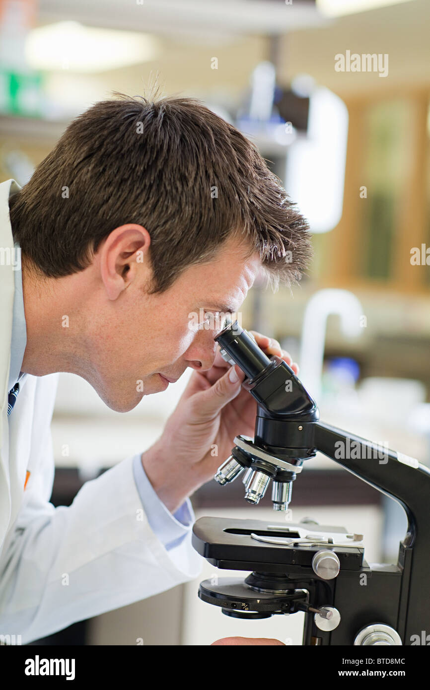 Doctor using microscope Stock Photo Alamy