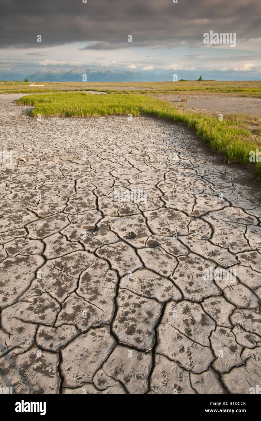 View of dried and cracked tidal muds near Campbell Creek in the Anchorage Coastal Wildlife Refuge, Anchorage,  Alaska Stock Photo