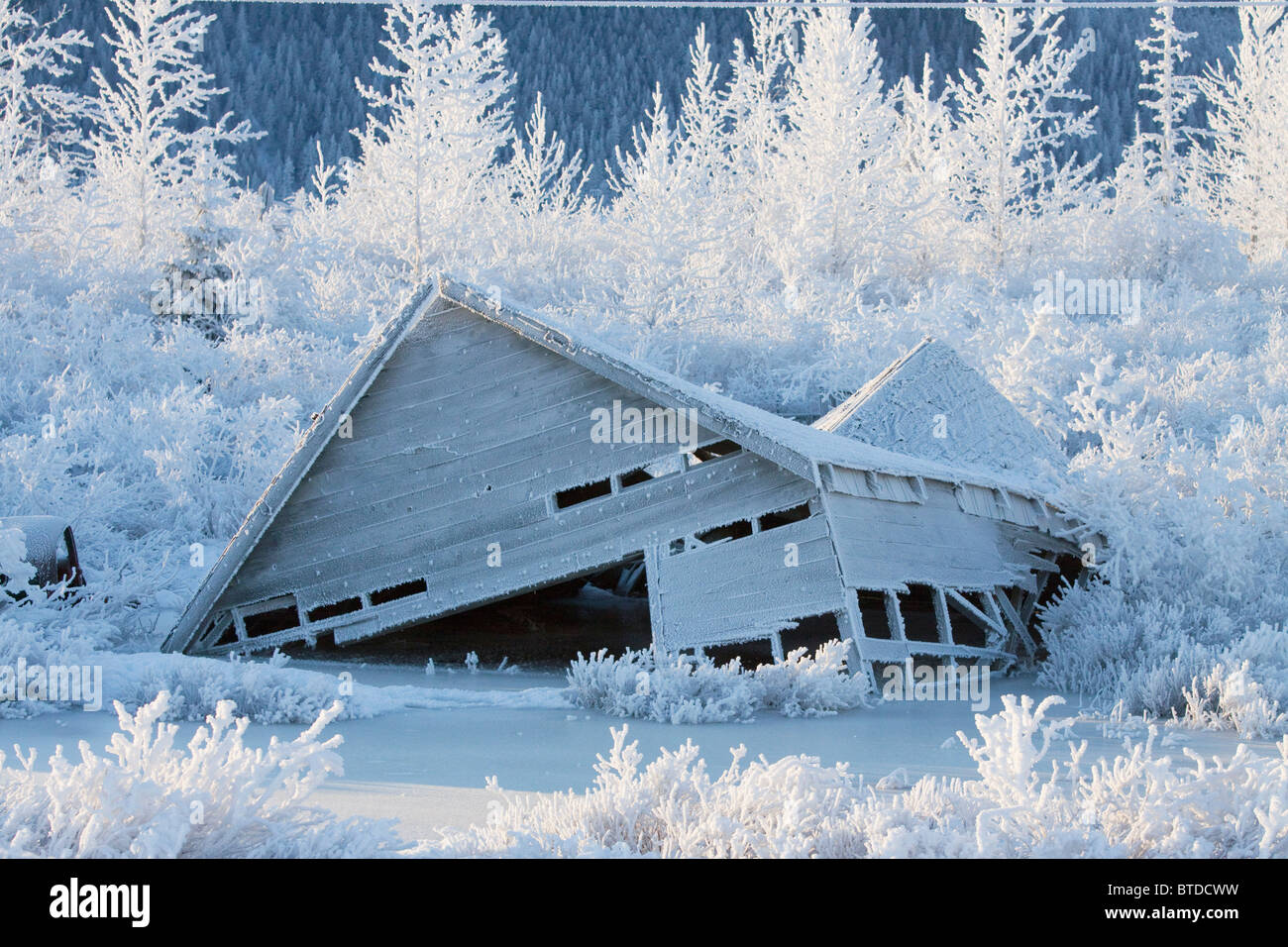 Alaska earthquake road