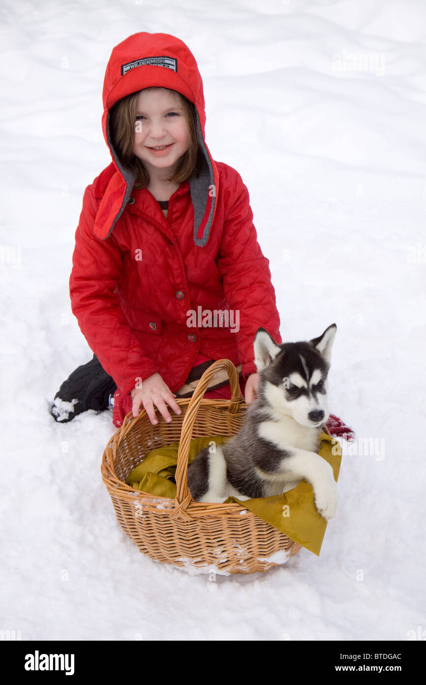 Young girl dressed in red coat sits next to a basket with a Siberian Husky pup during Winter, Southcentral Alaska Stock Photo