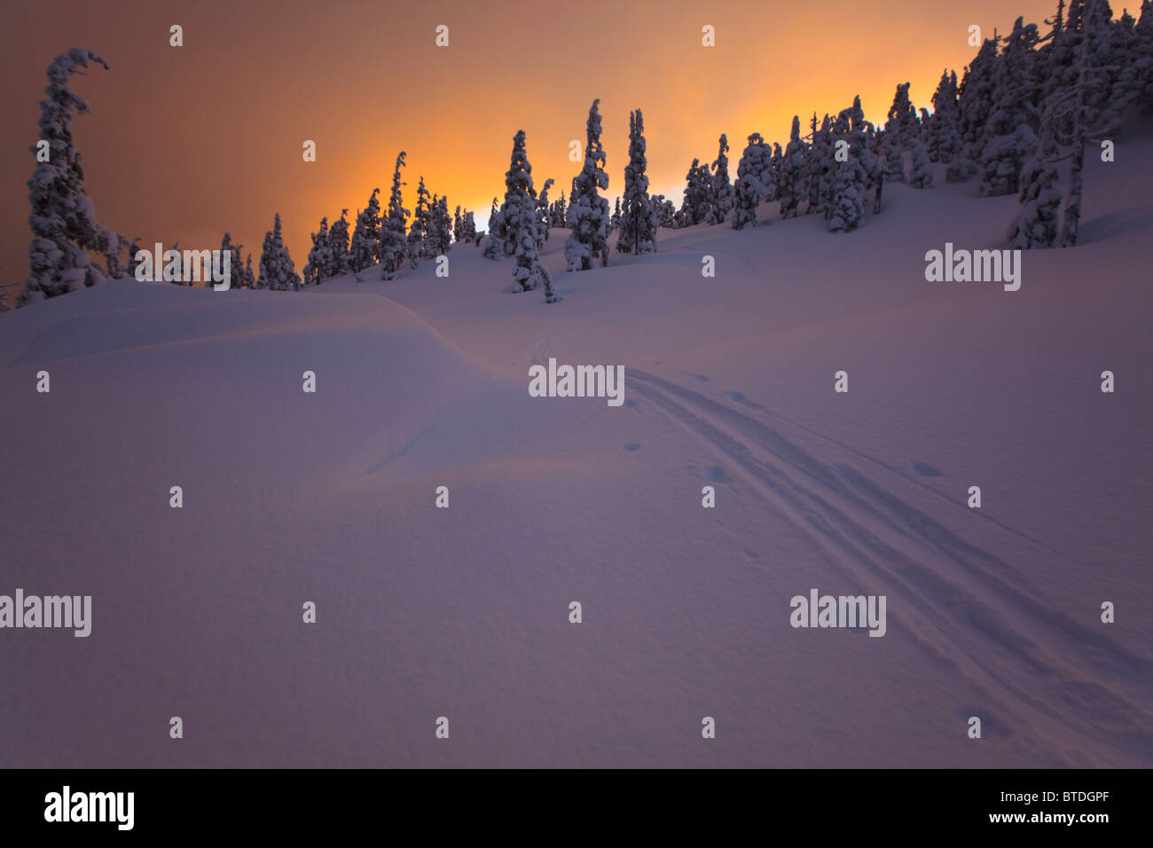 Wrangell Land High Resolution Stock Photography and Images Alamy