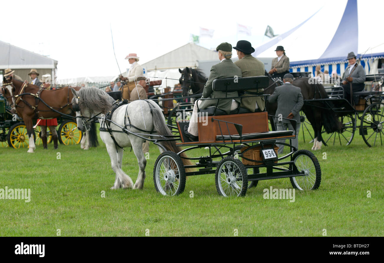 Edenbridge oxted agricultural show hires stock photography and images