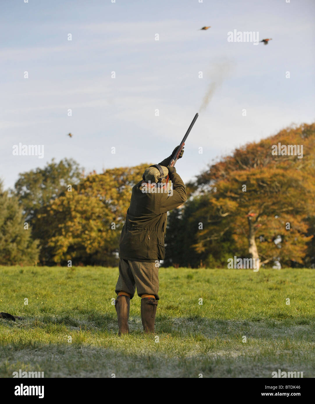 Gamekeeper, Man And Gun Dog At A Game Bird Isle Of, 53 OFF