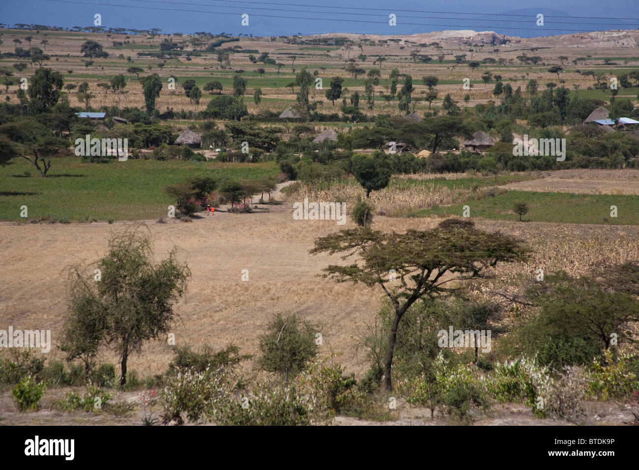 Ethiopian countryside in the Central Rift valley region showing the high degree of cultivation Stock Photo
