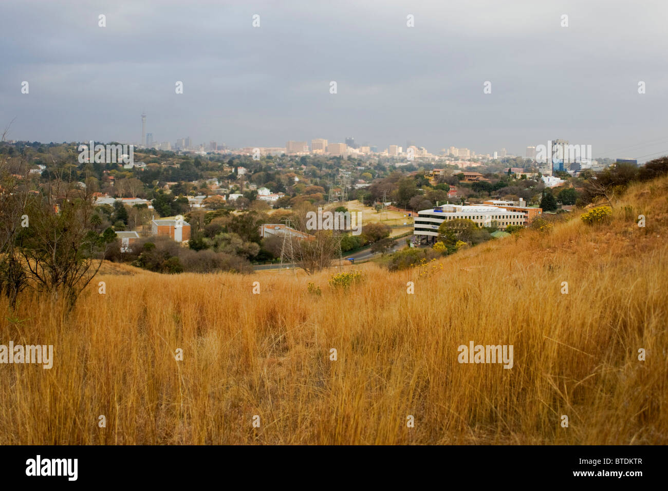 The Johannesburg skyline as seen from the Melville Koppies Stock Photo