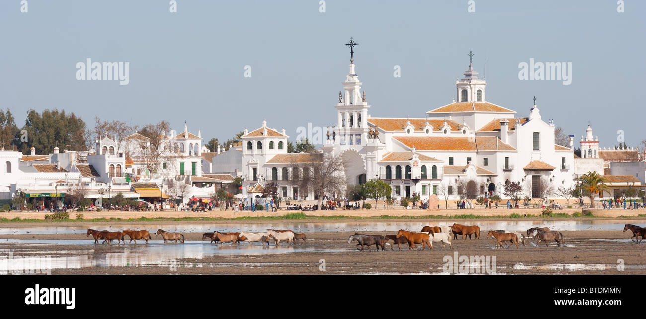 Horses in the marshes in front of the Village of El Rocio, Huelva, Spain Stock Photo