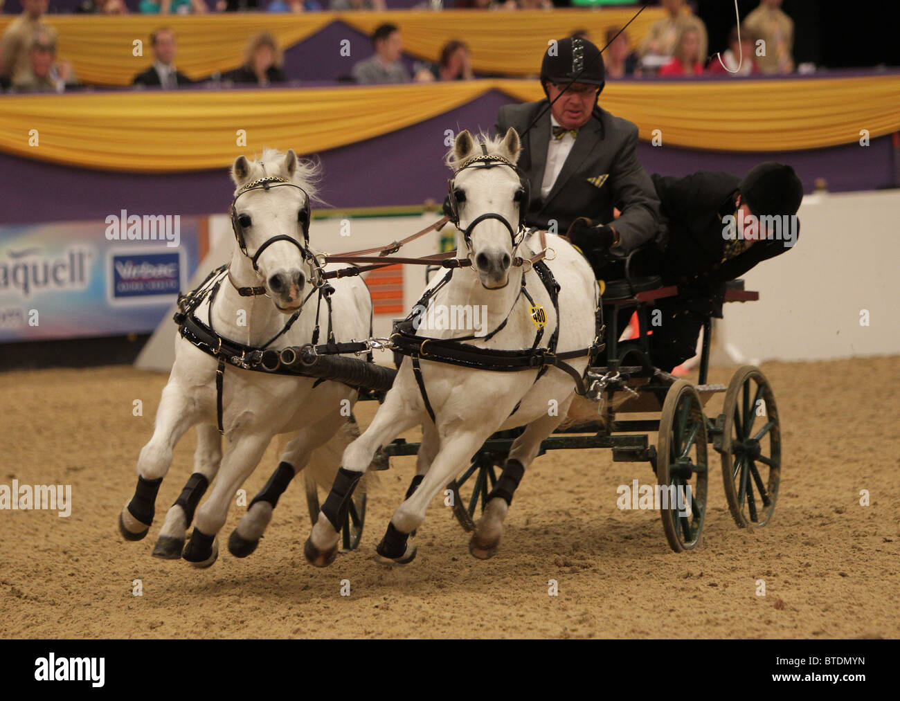 Horse driving competition hires stock photography and images Alamy