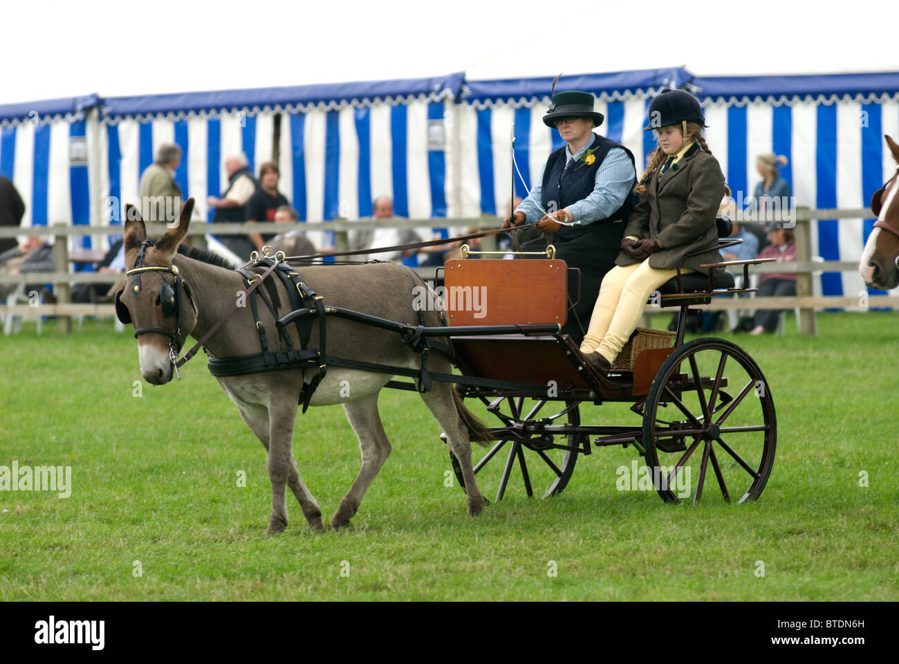 Pleasure Driving at the Edenbridge and Oxted Agricultural show at