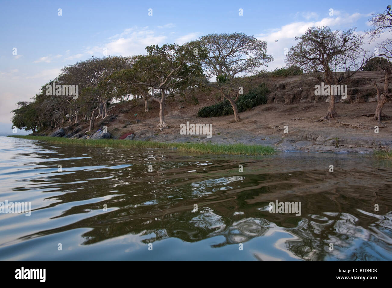 Scenic view of the shore of Lake Awassa with trees and a rocky outcrop Stock Photo