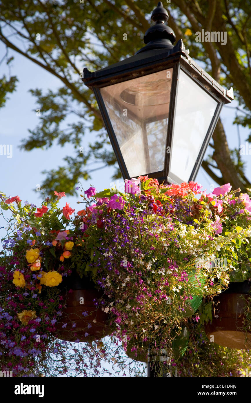 Traditional street lighting with hanging baskets Stock Photo