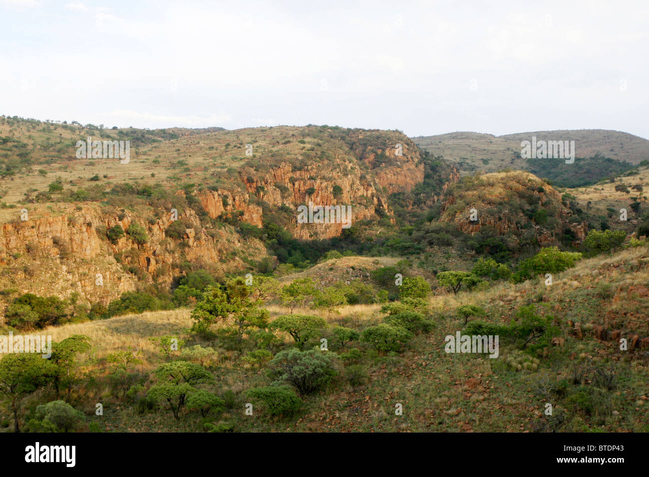 Scenic landscape in the Magaliesberg area Stock Photo