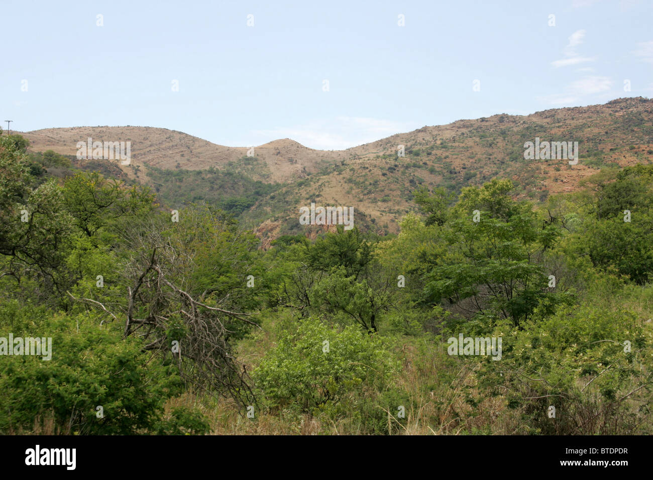 Scenic view over vegetation in the Magaliesberg Stock Photo