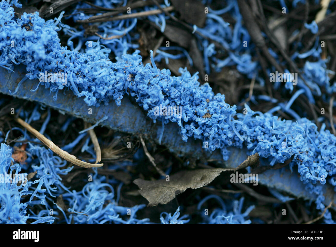 Plastic shavings from agricultural pipe that has been sawed Stock Photo