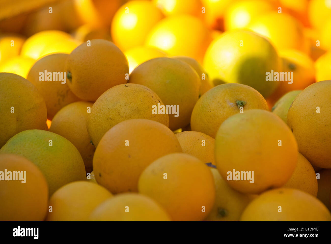 A close up of loose Oranges Stock Photo