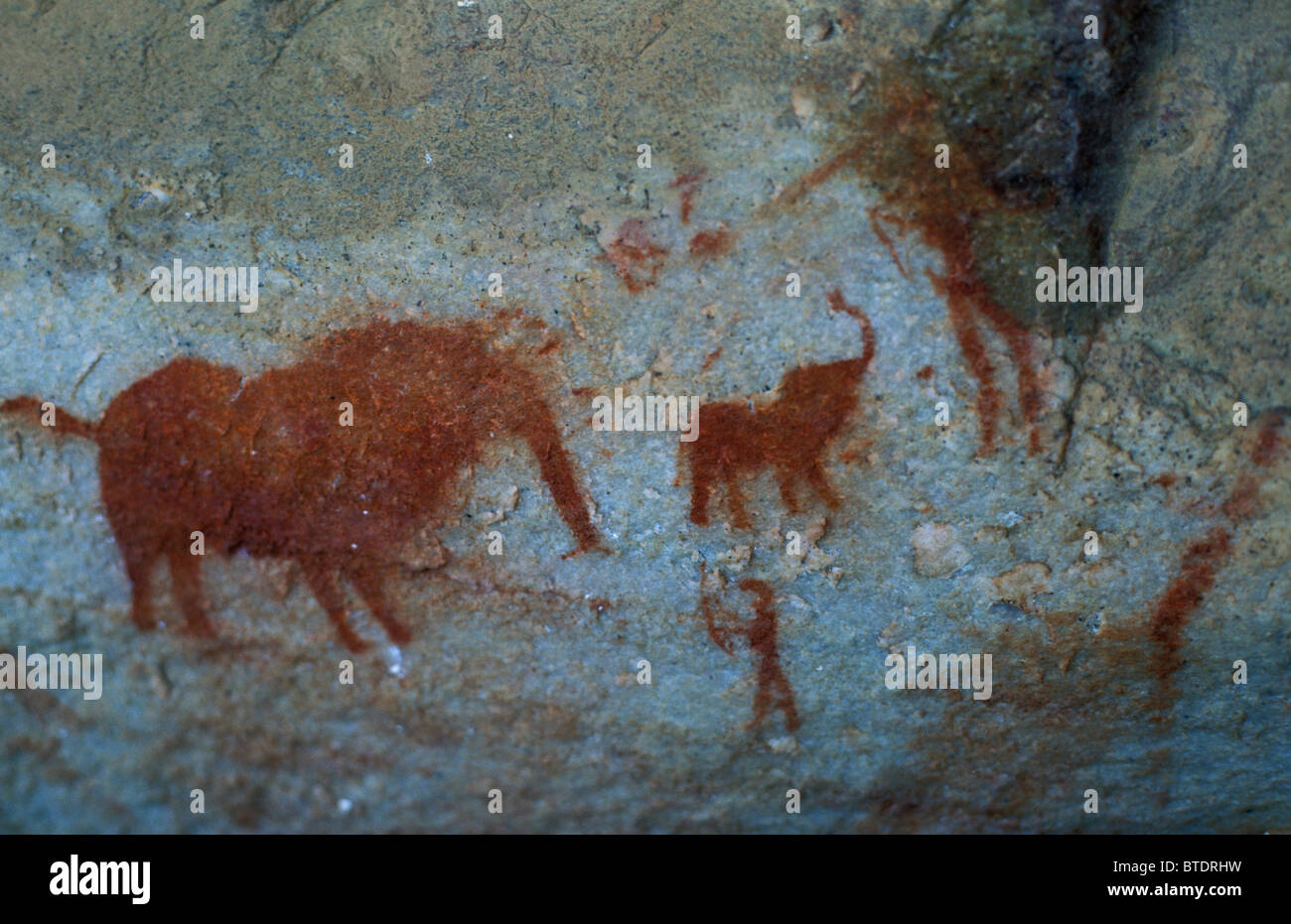 San rock paintings Stock Photo