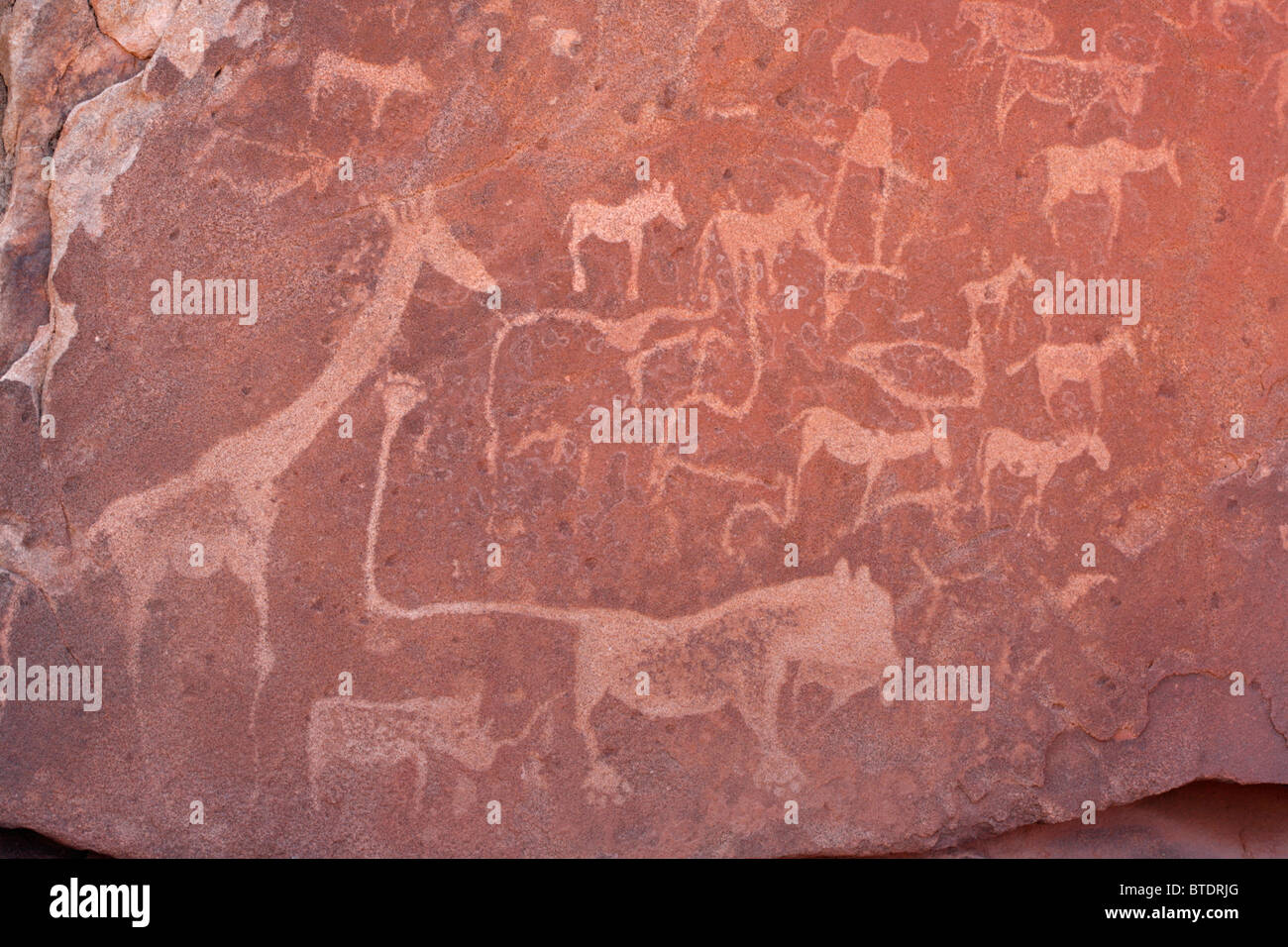 San rock art etchings of a lion, rhino, giraffe and other animals Stock Photo