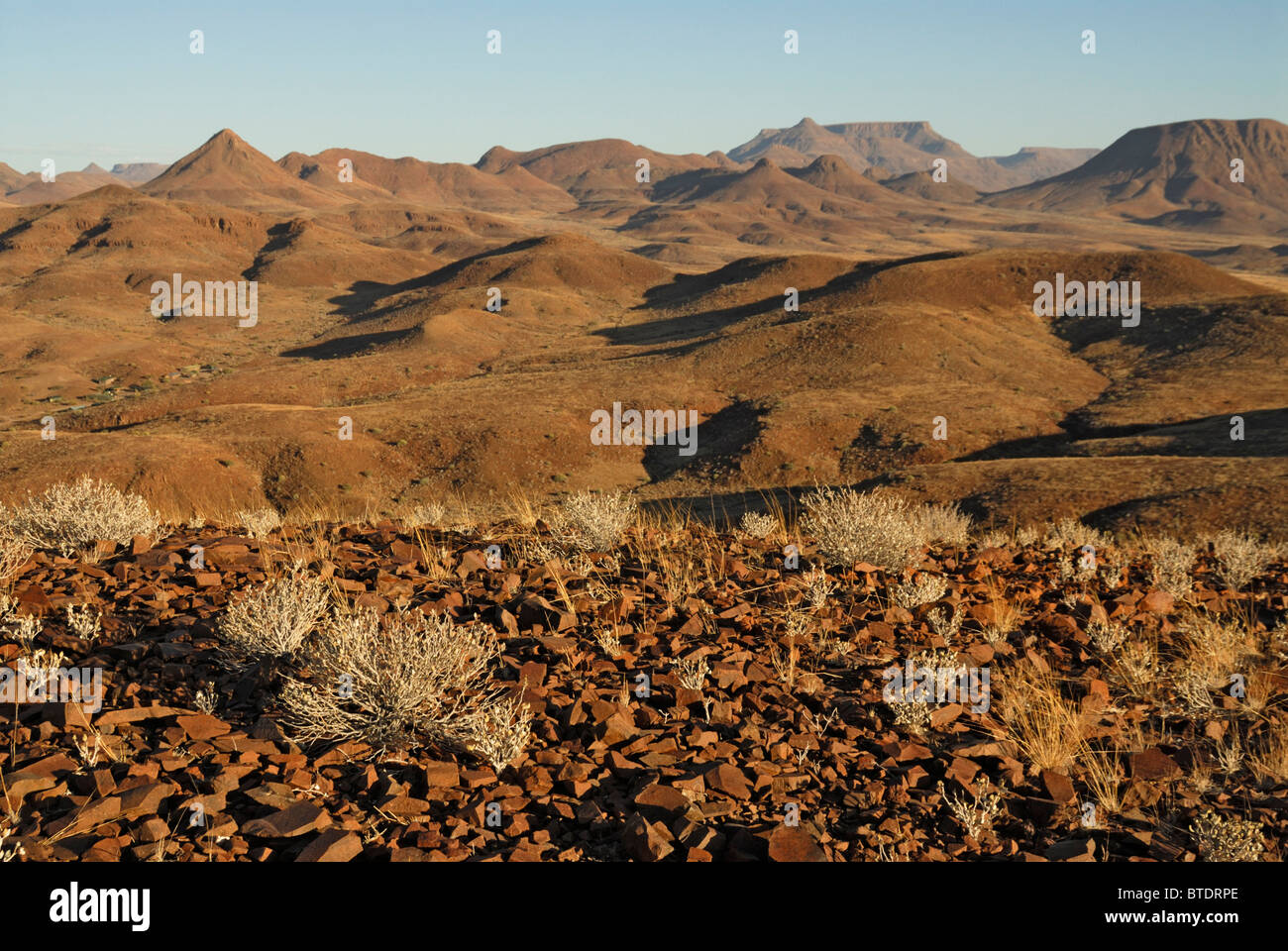 Scenic view of hills and mountains, Commiphora species in foreground Stock Photo