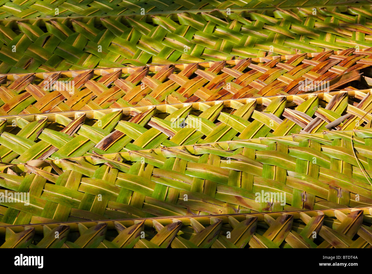 Close-up of plaited palm leaves used as roofing material Stock Photo