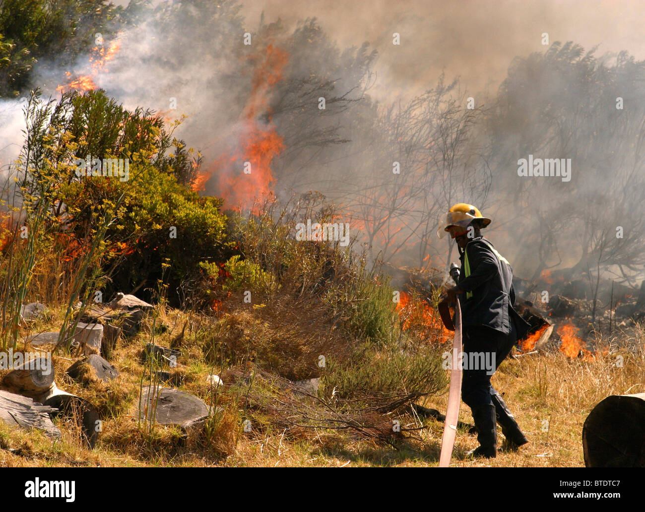 Fire fighter with hosepipe extinguishes flames on Table Mountain Stock Photo