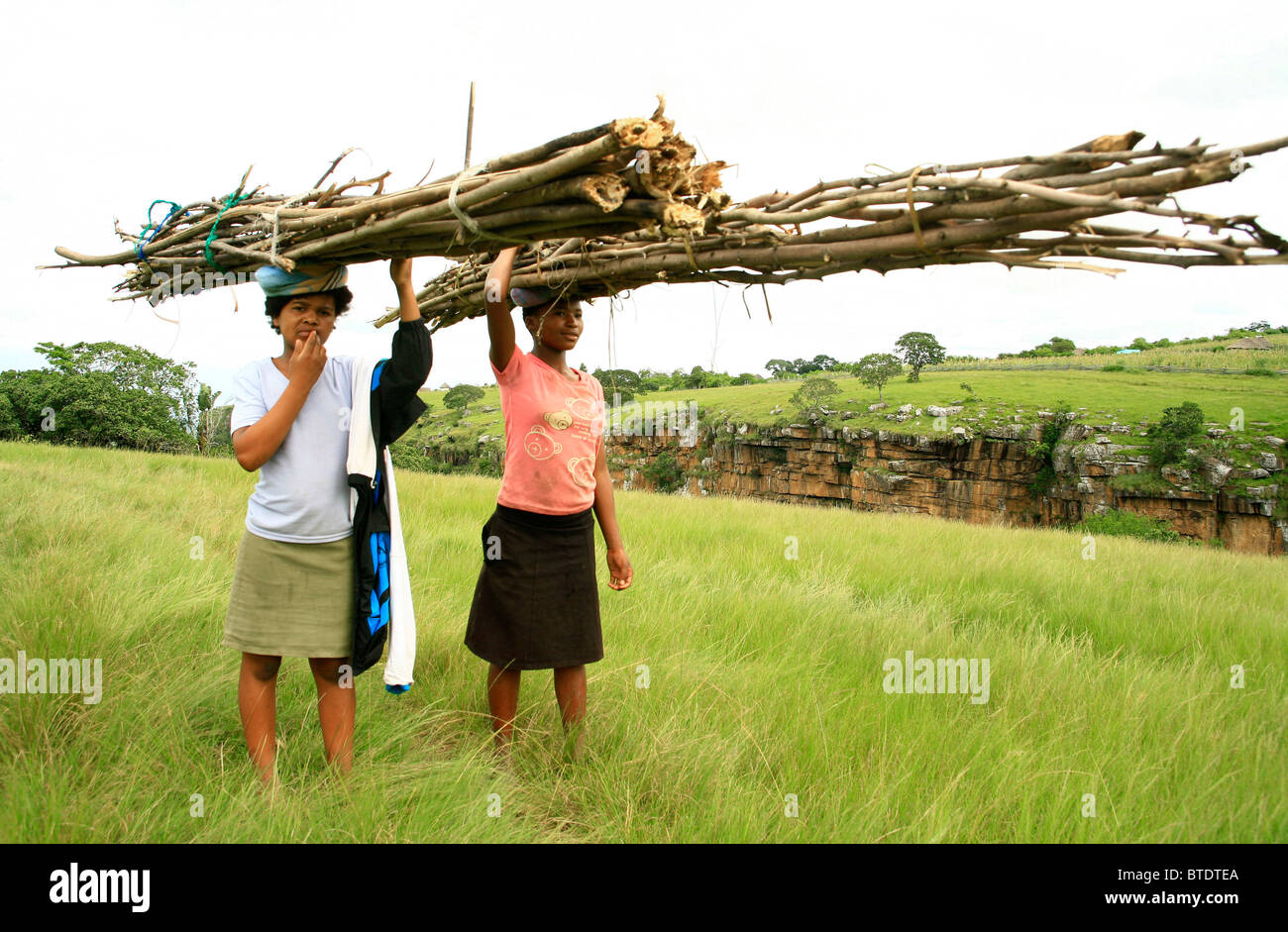 Two black women carry long bundles of wood on their heads Stock Photo
