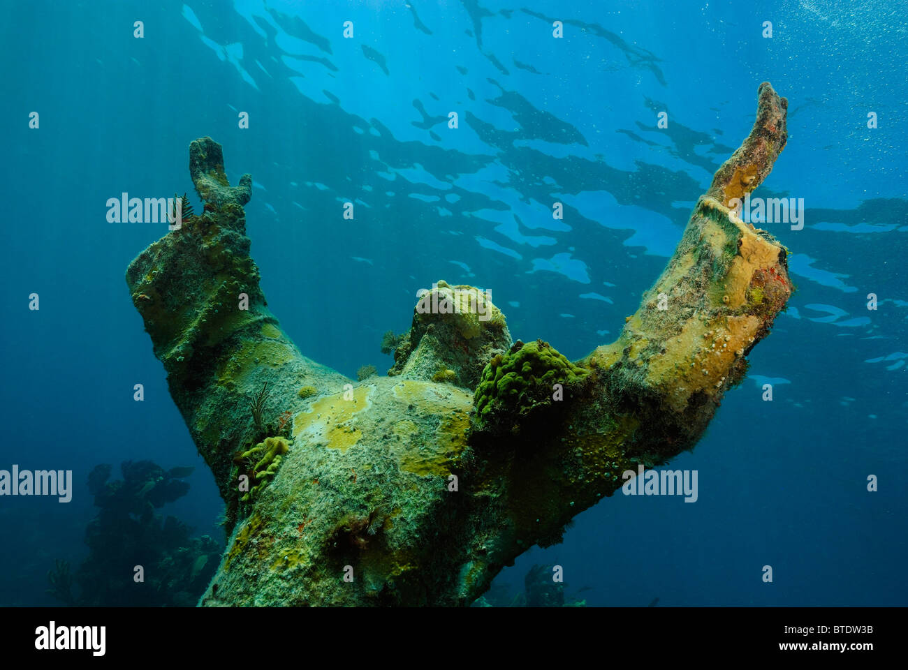 Christ of the Abyss statue off Key Largo coast, Florida, USA Stock Photo Alamy
