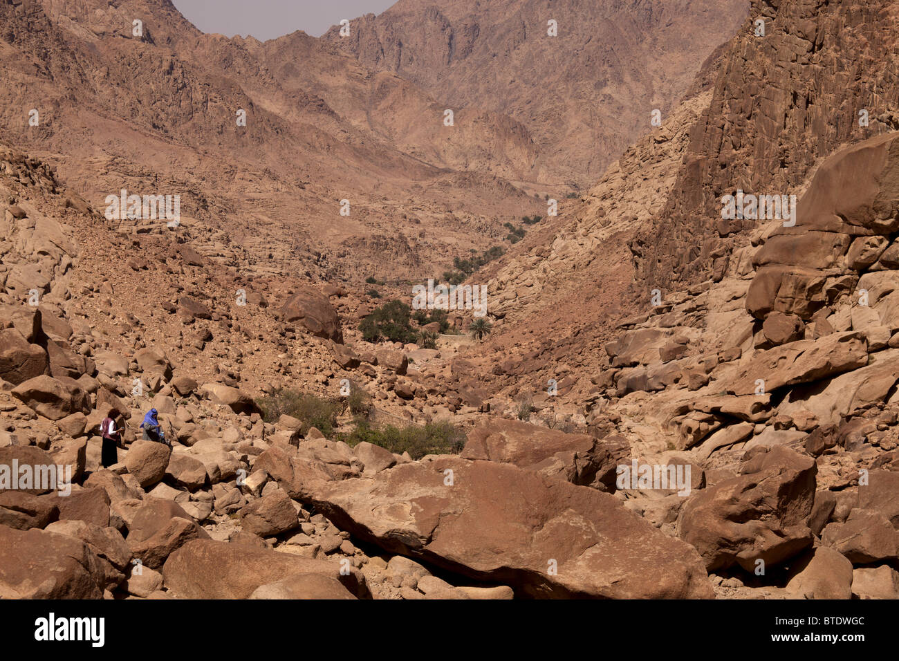 tourist at the fertile Wadi Tilah valley near Saint Katherine or El Miga village, Sinai, Egypt, Africa, Stock Photo