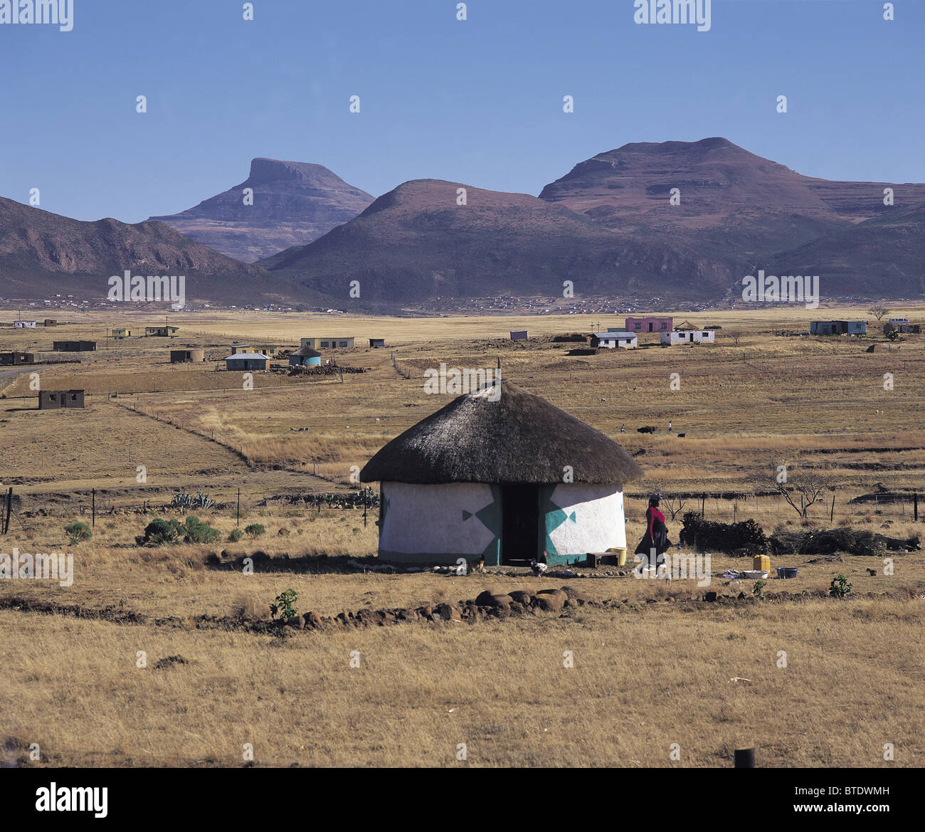 Rural homes near  Blue gums in the Transkei Stock Photo