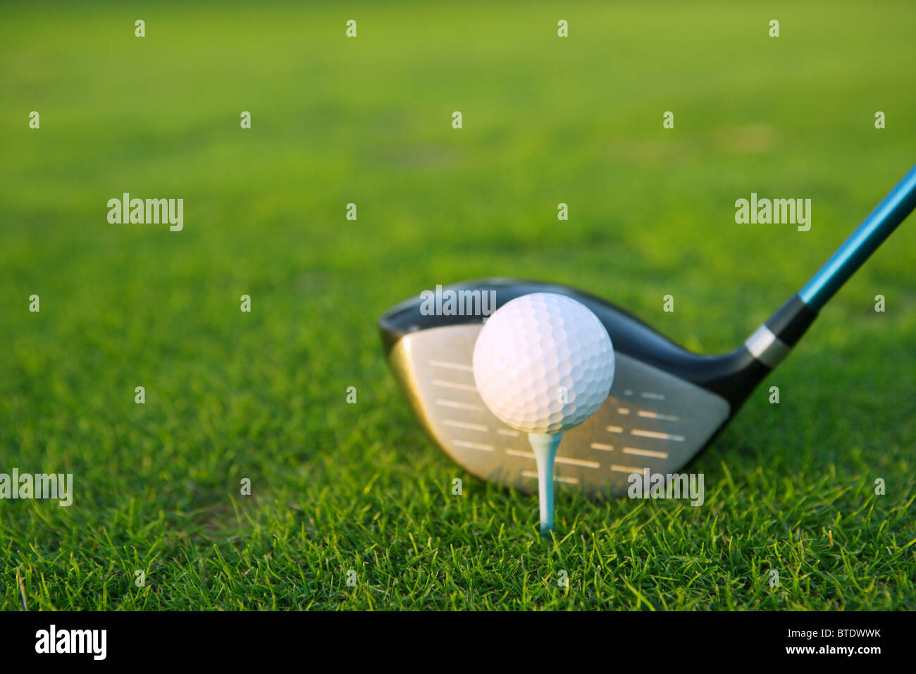 Golf tee ball club driver in green grass course closeup Stock Photo