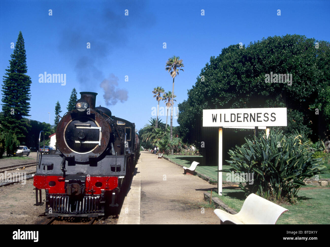 The well known Choo-Choo steam train in Wilderness Stock Photo