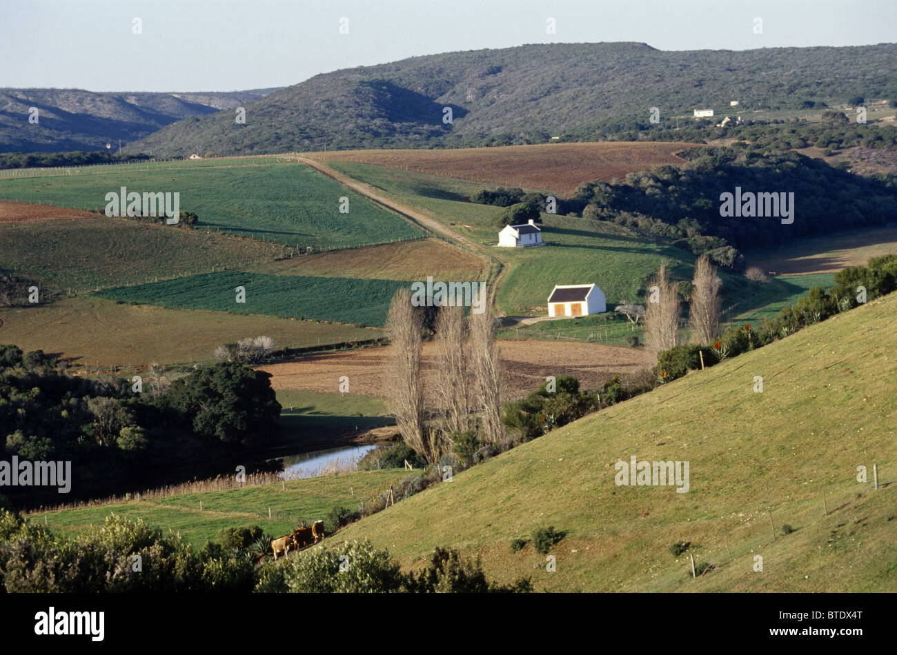 Farmlands in a rural countryside scene near Still Bay in the Western Cape Stock Photo