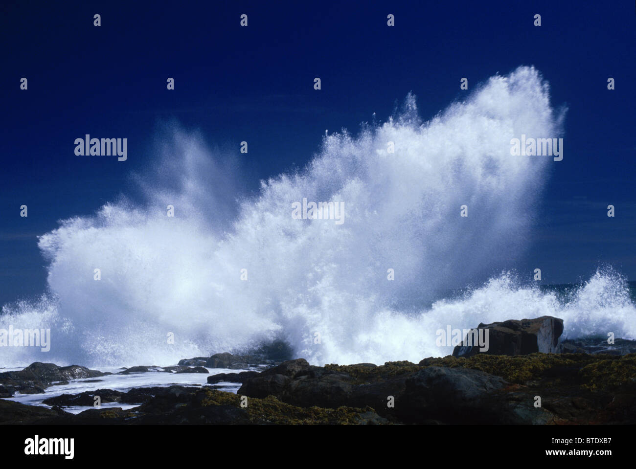 Crashing waves Stock Photo