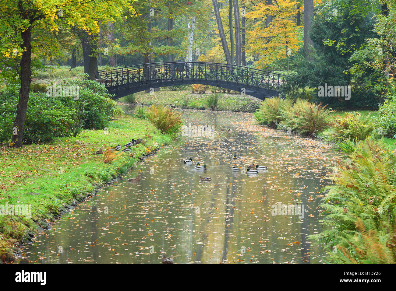 Quiet tranquill calm water and autumn fall colors Stock Photo