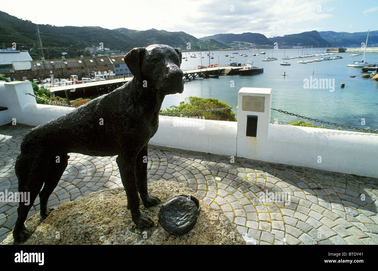 Just Nuisance memorial in Simonstown Stock Photo Alamy