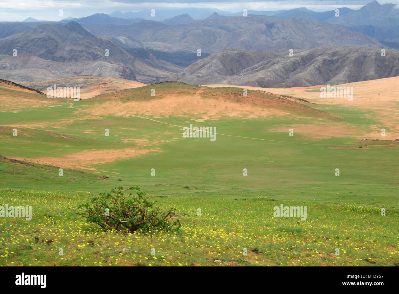 Scenic view of looking down into Kunene River Valley and Serra Cafema mountains, showing green flush from recent rains Stock Photo