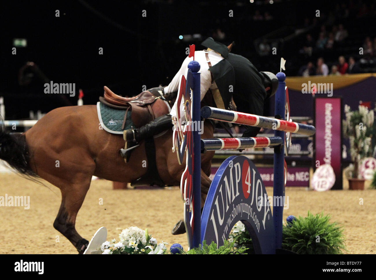 Horse of the Year Show, Show Jumping, fall Stock Photo Alamy