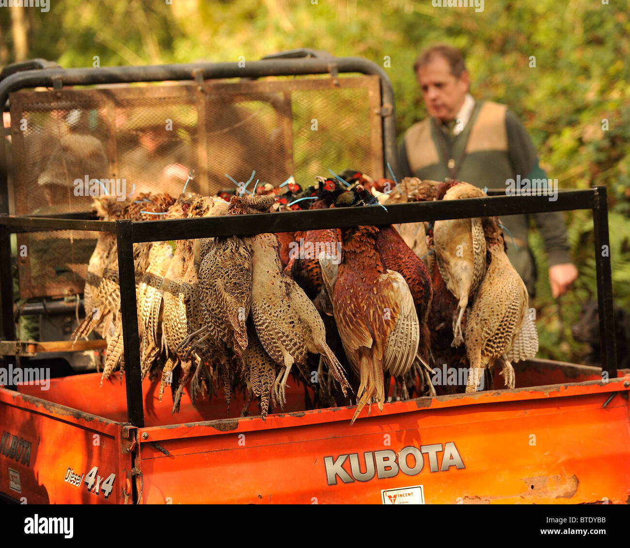 Dead birds shooting hi-res stock photography and images - Alamy