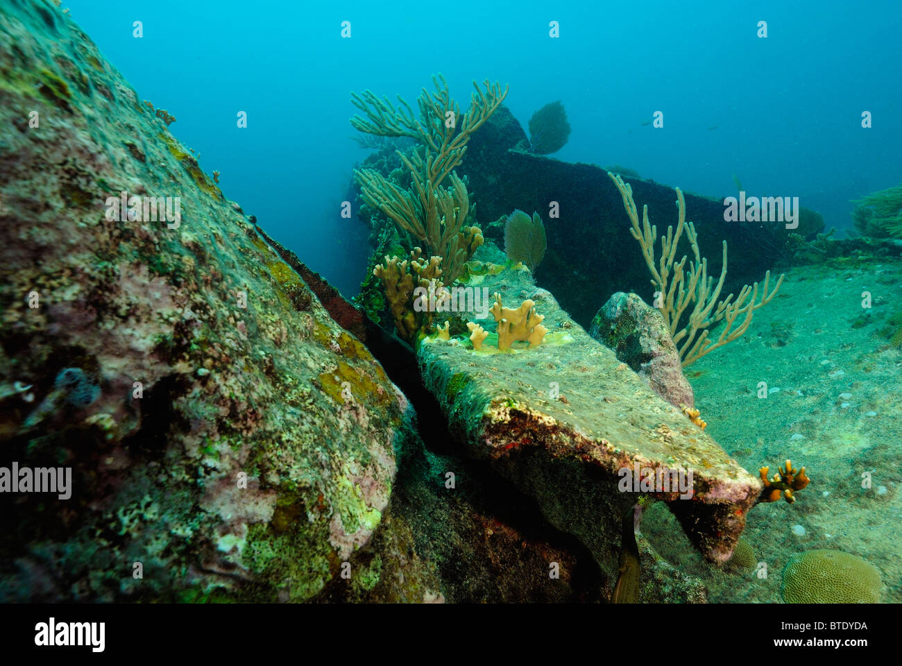 Wreck of Benwood off Key Largo coast, Florida, USA Stock Photo