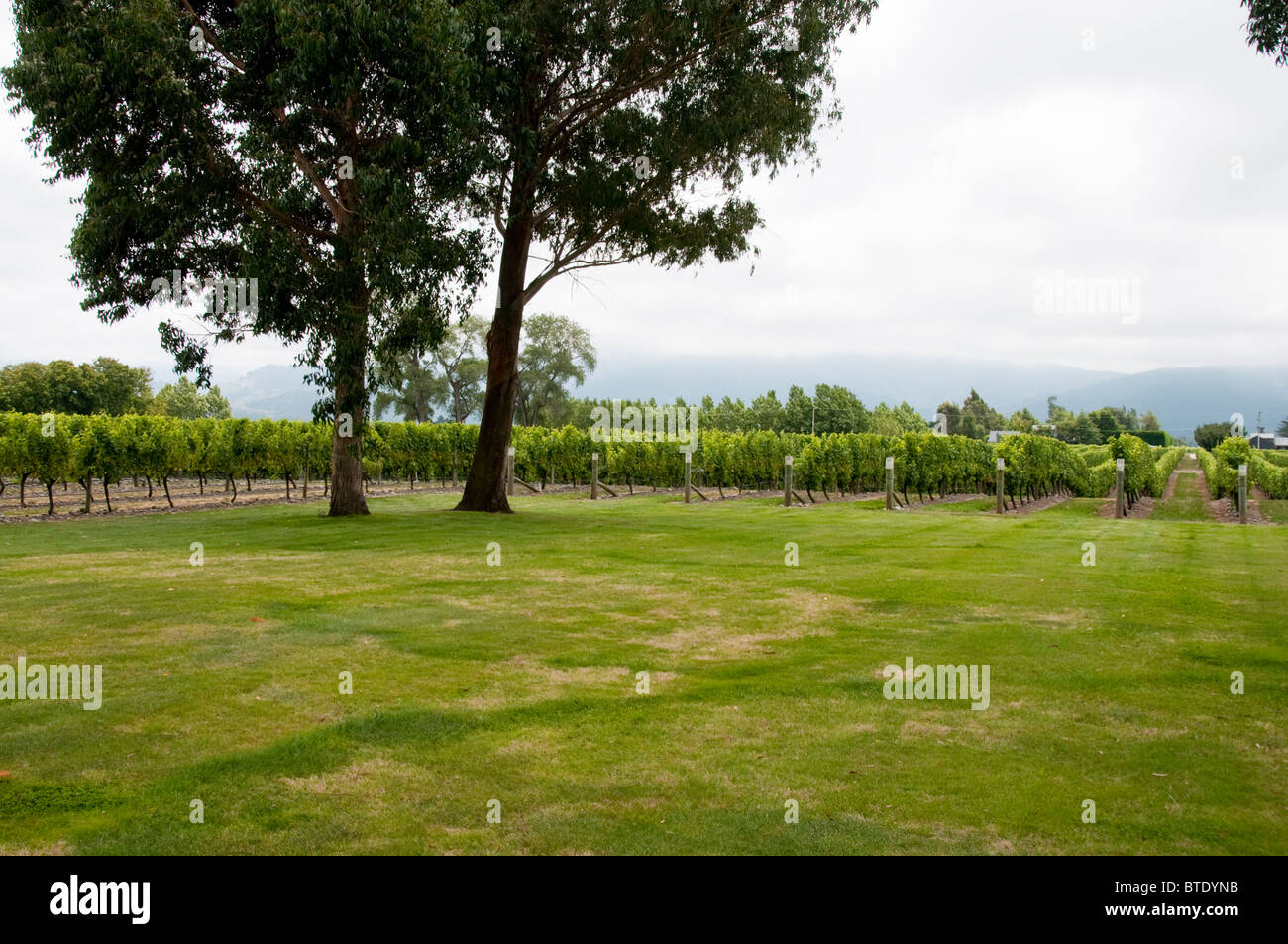Cloudy bay winery hi-res stock photography and images - Alamy