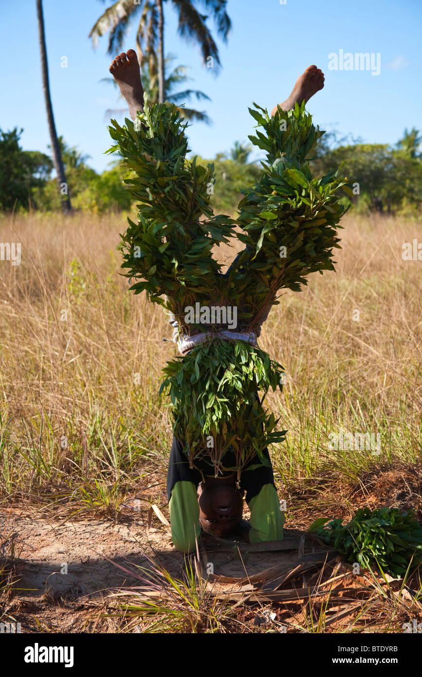 Young boy dressed in leaves standing on his head to attract money from tourists Stock Photo