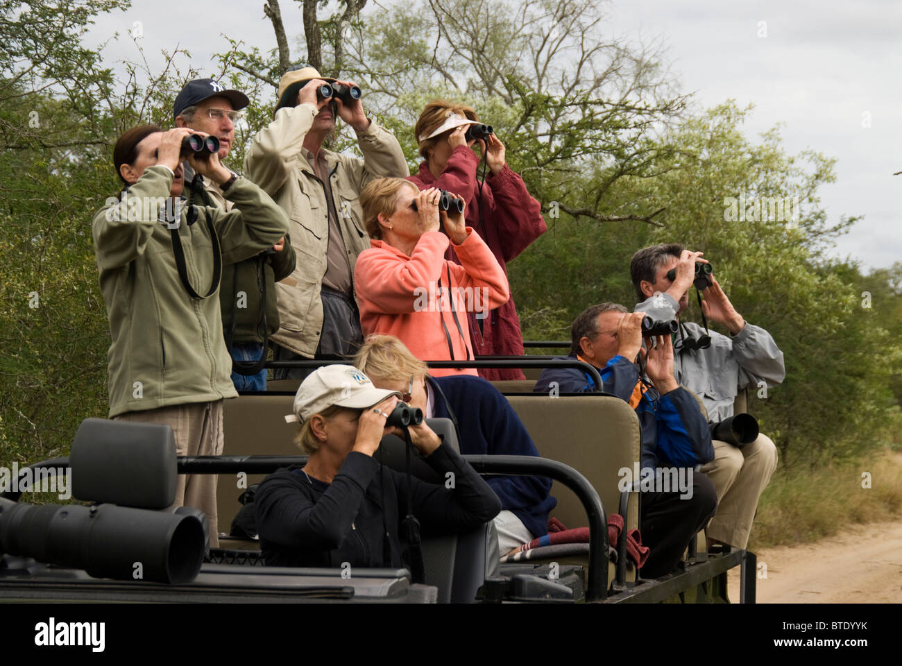 Tourists in safari vehicle viewing game through binoculars Stock Photo