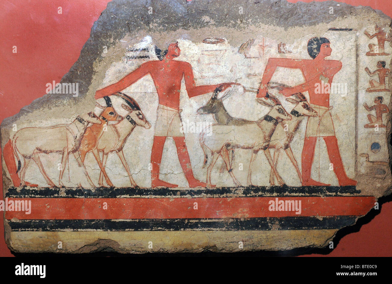 5348. Shepherds with gazelle and orix. Wall painting from Saqara, Egypt, c. 2300-2000 BC Stock Photo