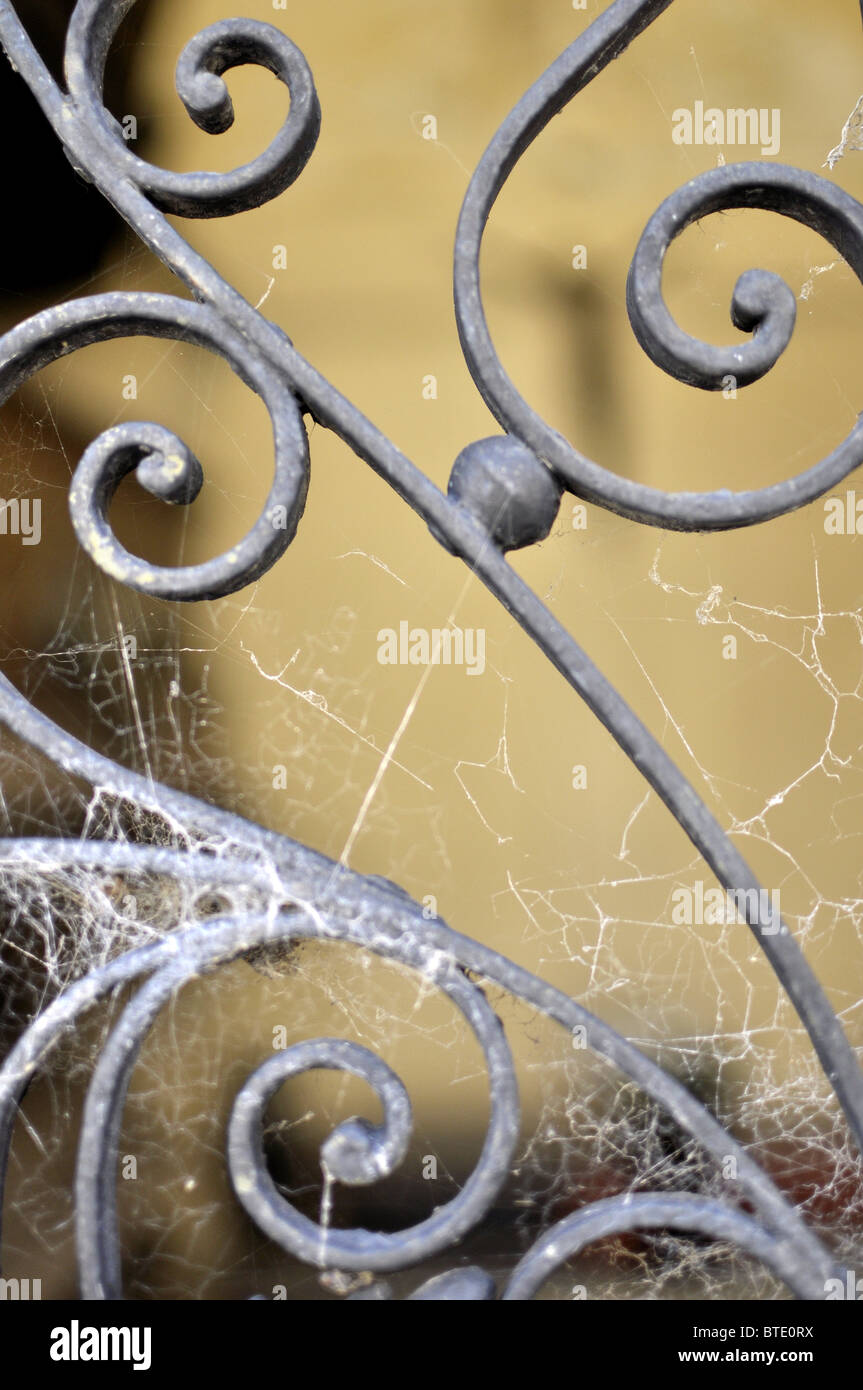 Iron railings and cobwebs in graveyard. Stock Photo