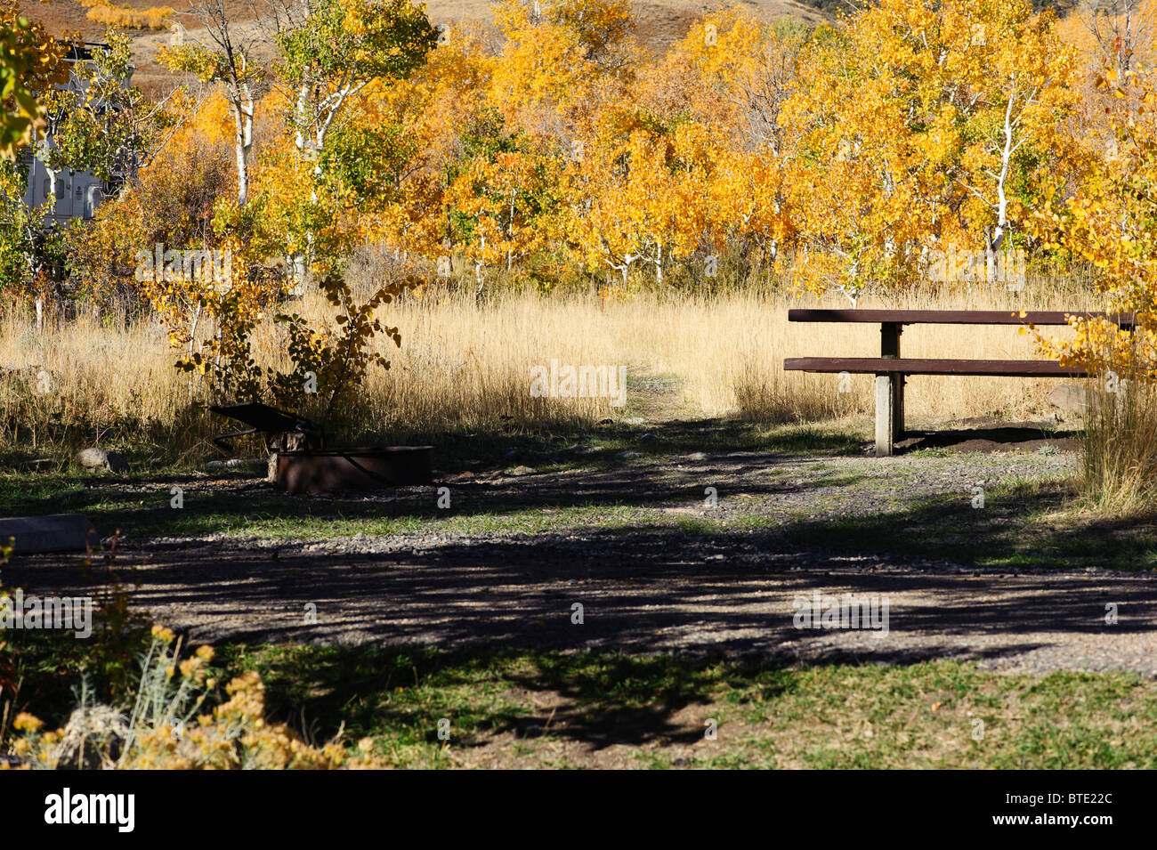 Nevada's Hidden Gem: Angel Creek Campground – Escape to Serenity