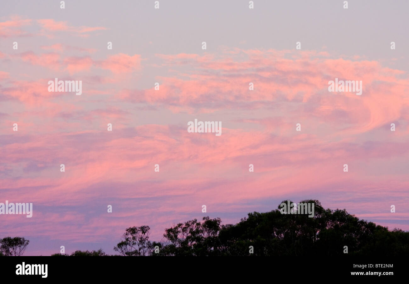 Pink sky at sunset, New South Wales, Australia Stock Photo