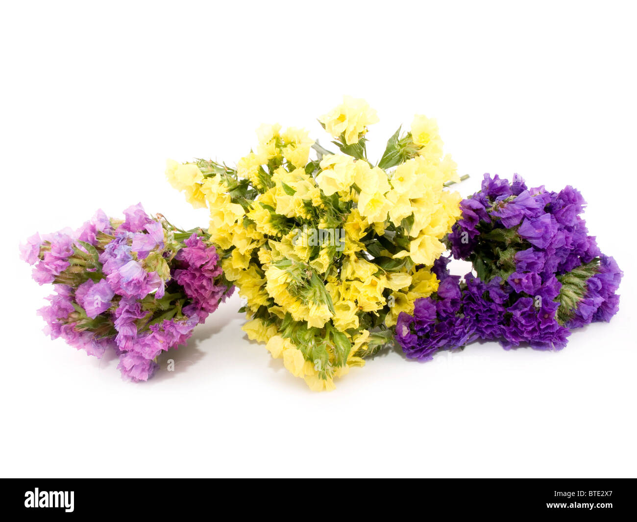 Bouquet of beautiful statice flowers on white background. Stock Photo