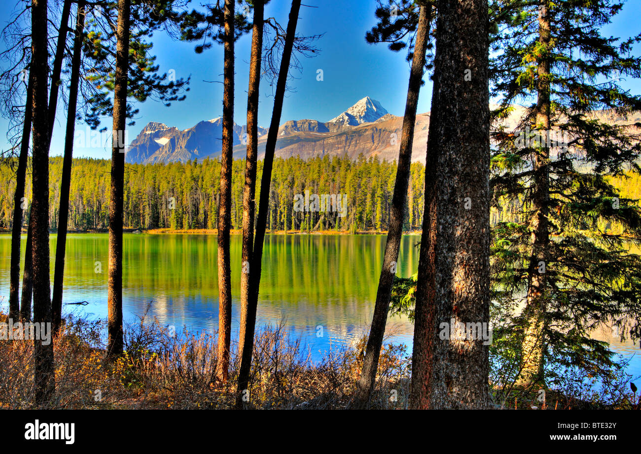Leech Lake with Mt Edith Cavell, Jasper National Park, Alberta, Canada