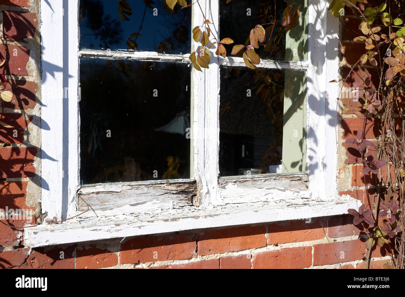 wet rot and flaking paint in a wooden window frame Stock Photo Alamy